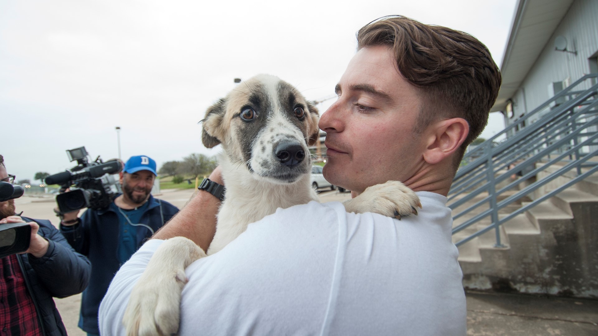 Army staff sergeant reunites with puppy he found while on duty in Iraq ...
