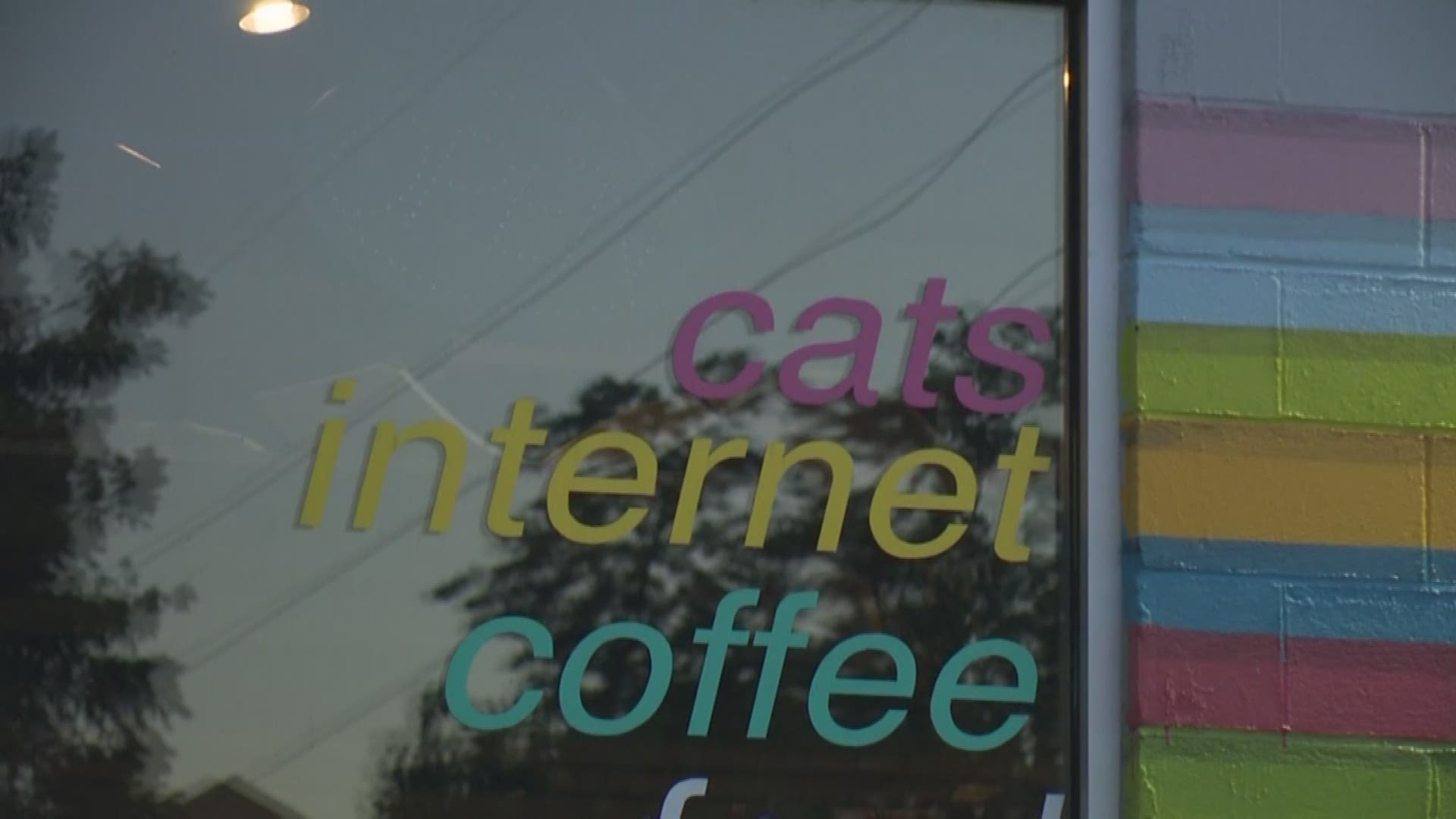 Protest breaks out at East Austin cafe