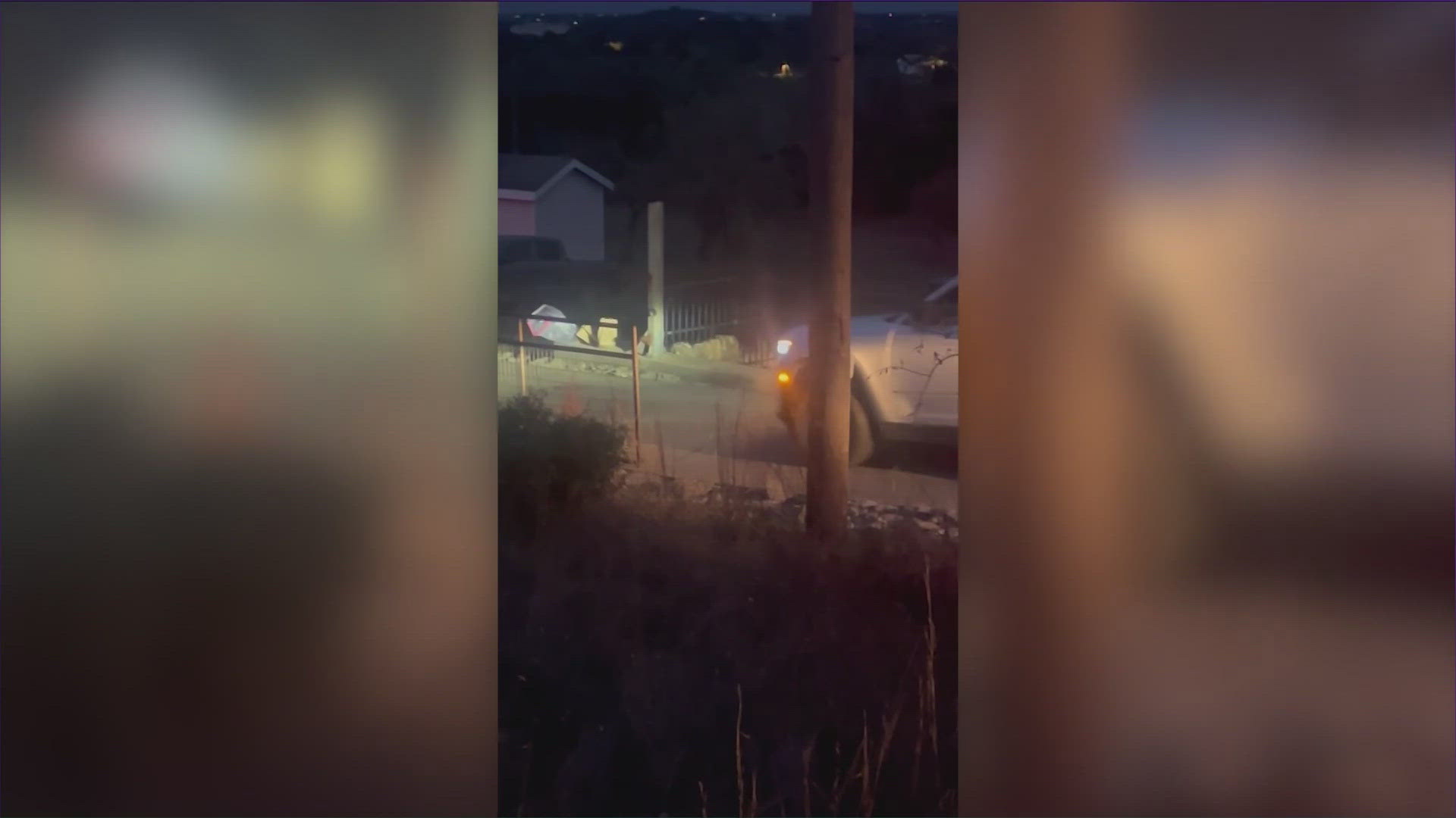 According to U.S. Immigration and Customs Enforcement, nine children were among the nearly 50 people arrested early Tuesday morning.
