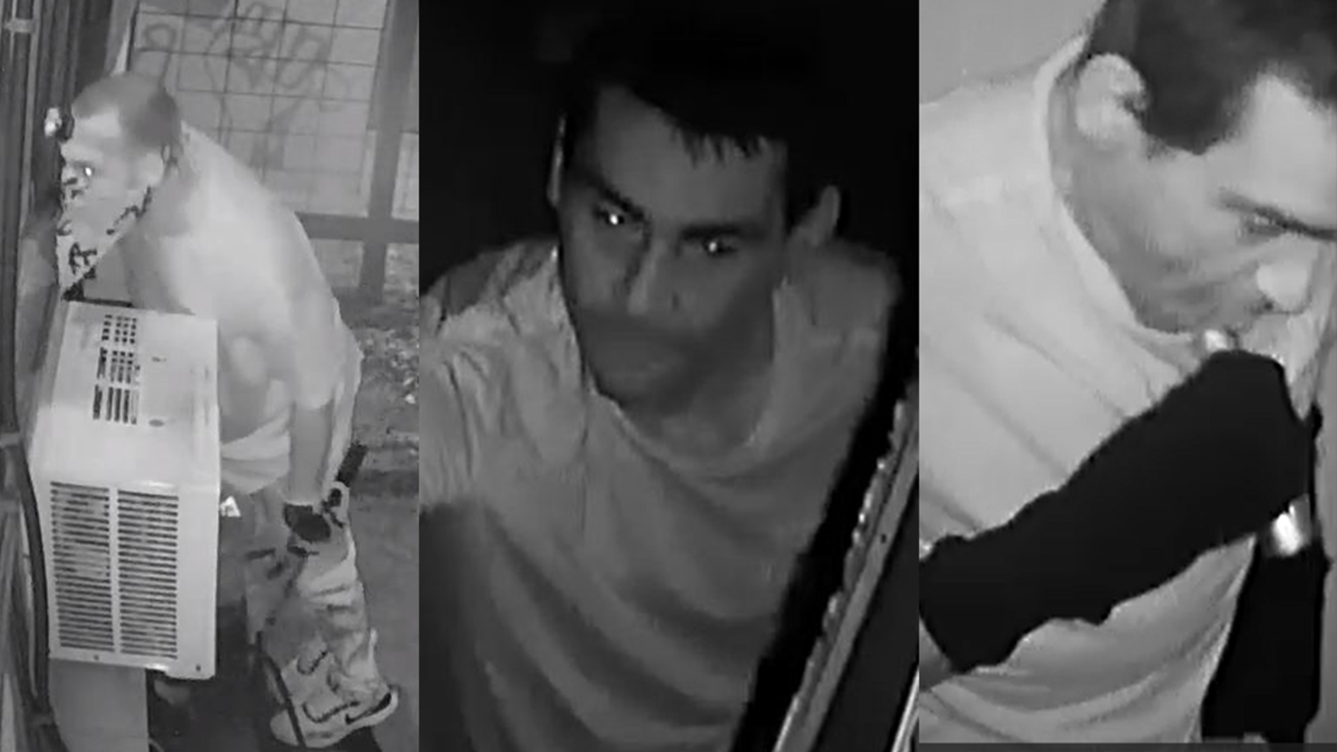 The Austin Police Department is seeking the public's help identifying burglars caught on camera stealing from several local businesses.
