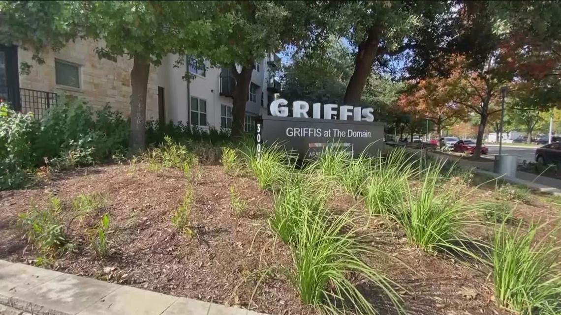 Private investigator says APD made mistakes in case of missing Domain