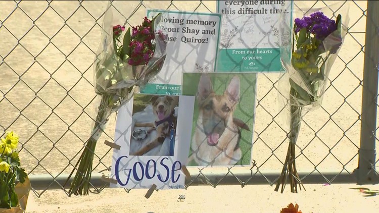 Round Rock may consider ordinance requiring sprinklers at pet boarding facilities