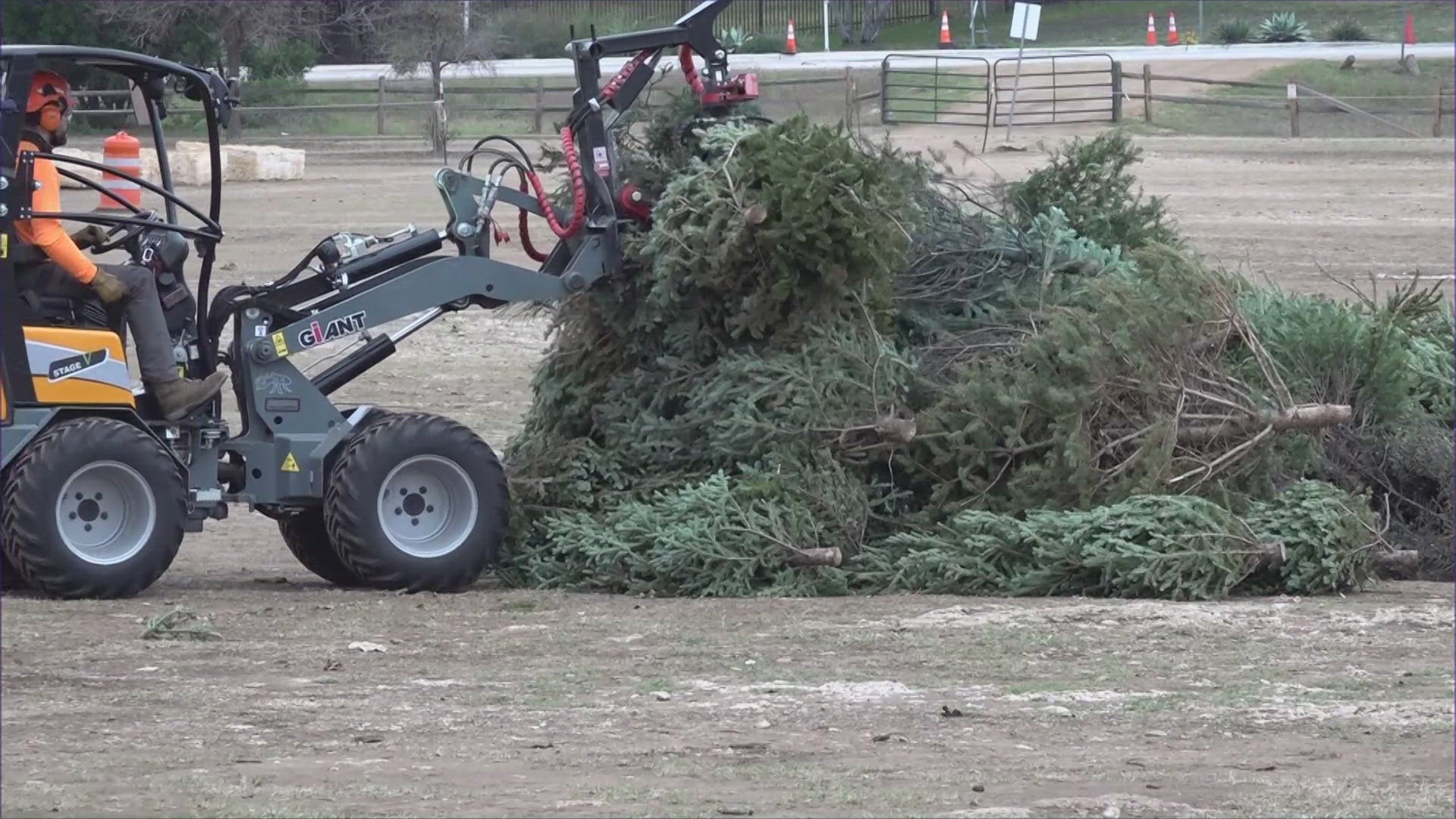 Where to recycle your Christmas tree in Central Texas | kvue.com