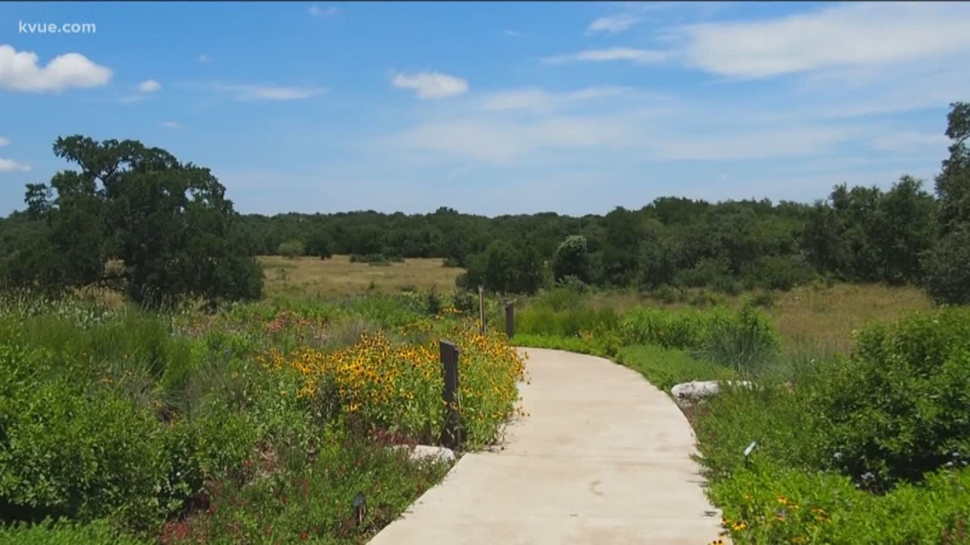 Brittany Flowers stopped by the Lady Bird Johnson Wildflower Center to find out what "Nature Nights" has to offer.