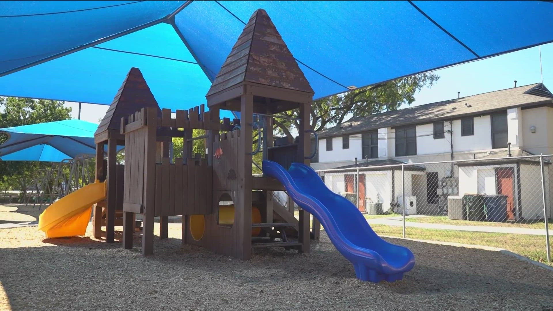 Allergy Forecast and Conditions Austin, Texas