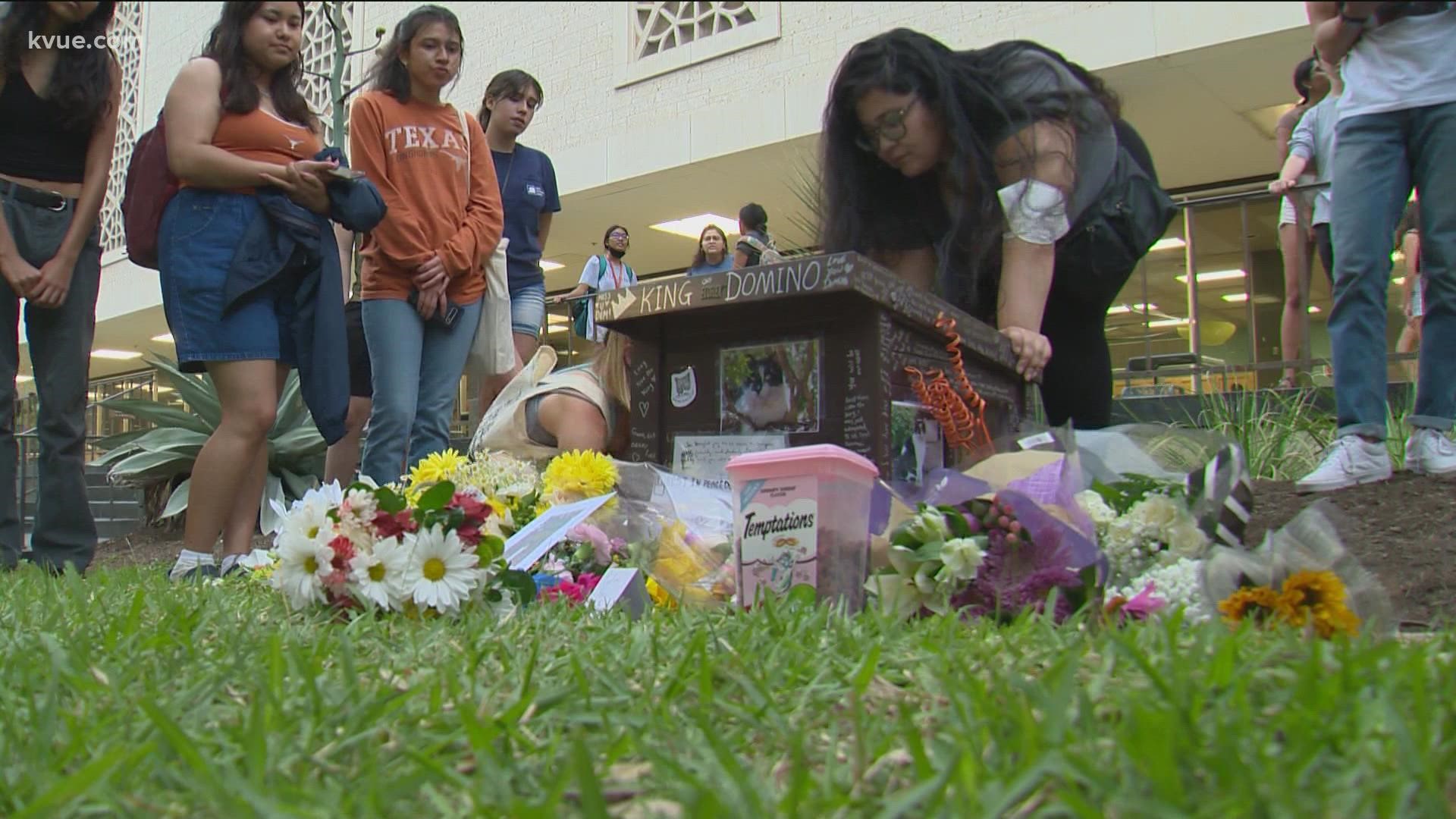 UT posted on social media that Domino was a welcoming friend on campus for many years and that he will be fondly remembered.