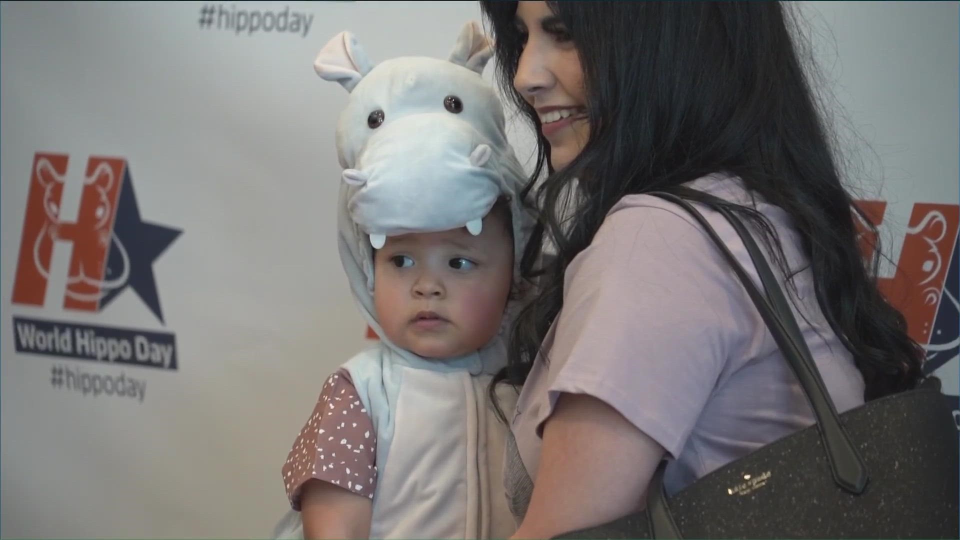 The City of Hutto is well known for its high school mascot, the hippo. On Wednesday, residents celebrated World Hippo Day.