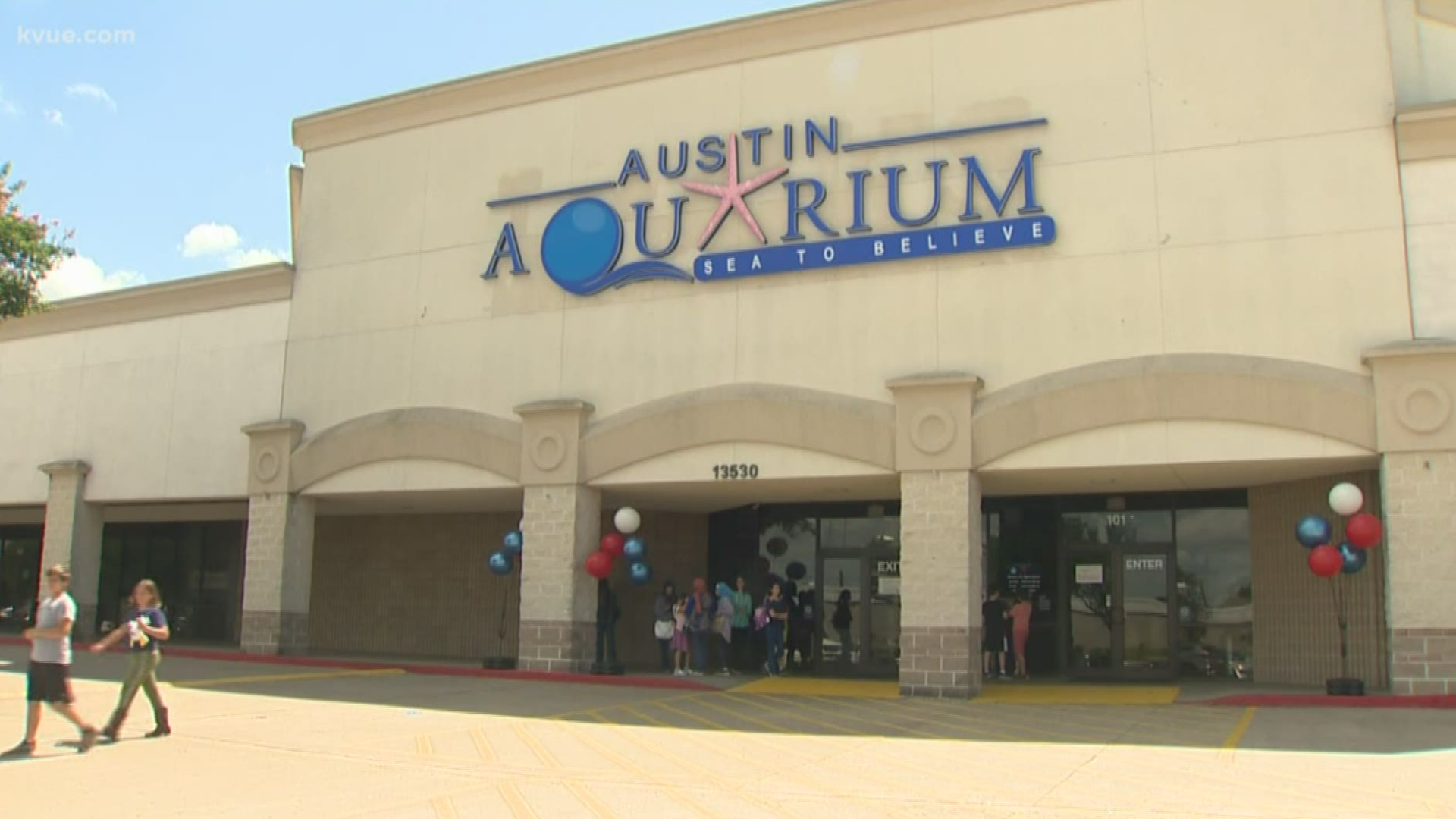 The parents of a 10-year-old girl said a lemur bit their daughter at the Austin Aquarium.