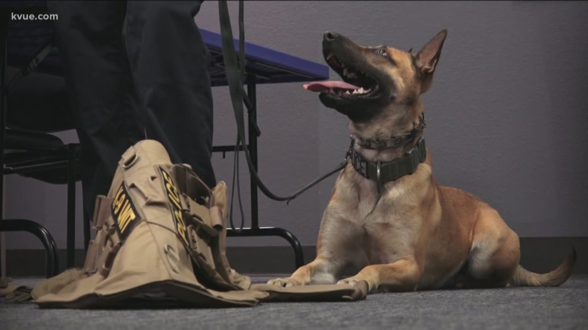 A Leander K-9 will now be able to patrol the streets with some added protection thanks to a donation from the community.