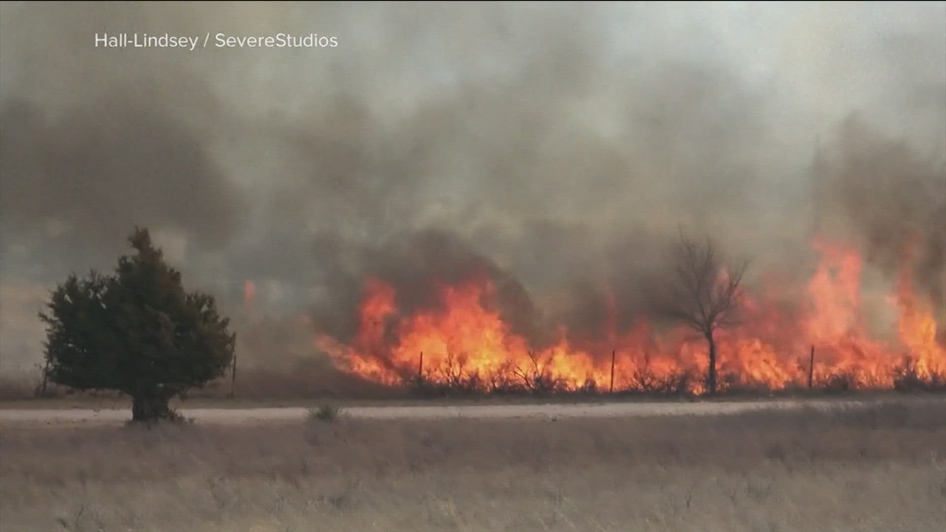 A series of deadly wildfires have burned for nearly three weeks, destroying farms and ranches in several counties.