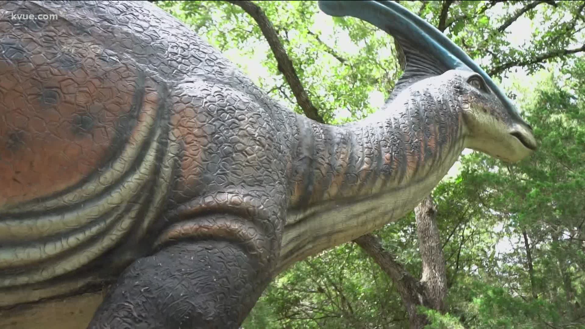 KVUE meteorologists Shane Hinton and Hunter Williams are heading outside to explore everything Central Texas has to offer. This week, they visited The Dinosaur Park.