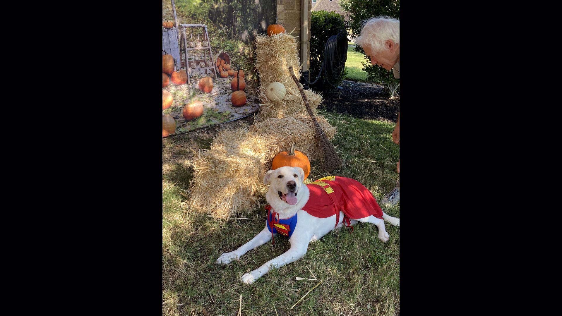 Halloween costumes from around Central Texas | kvue.com
