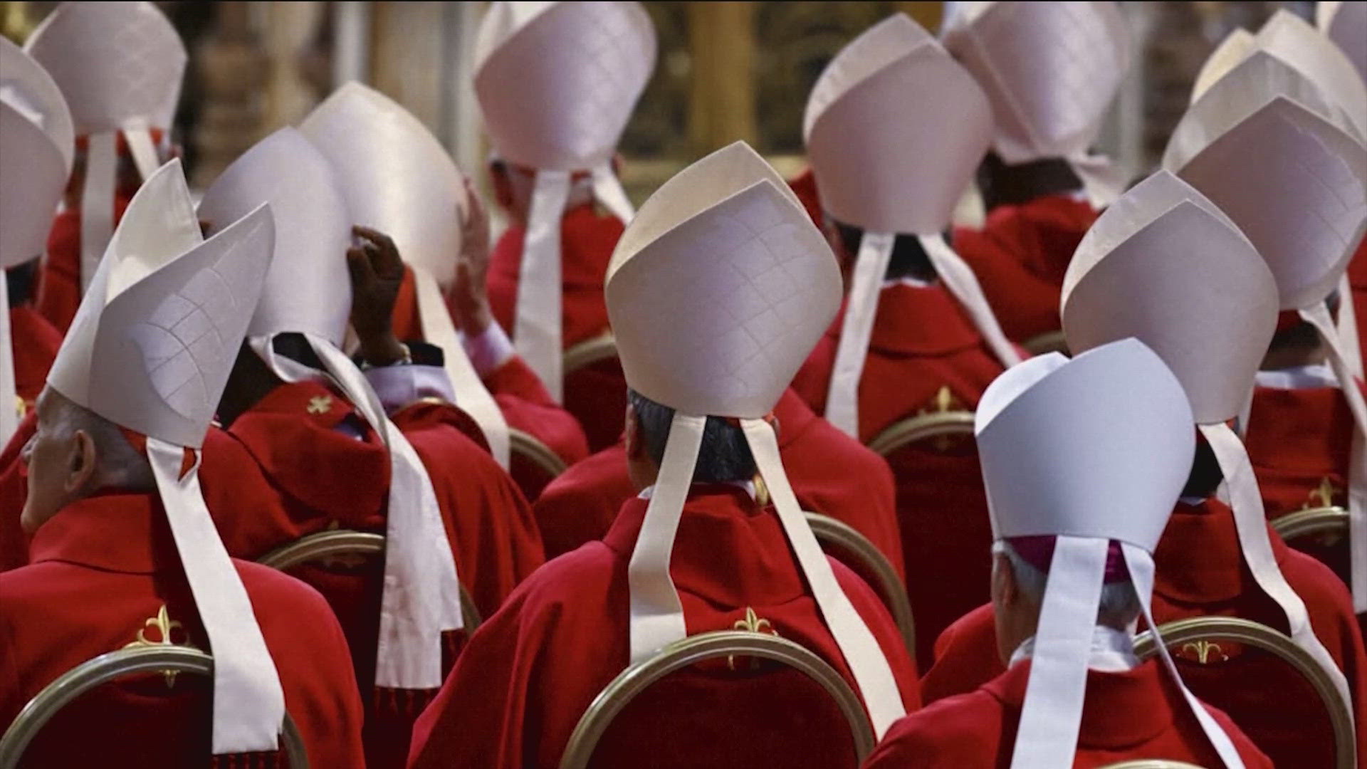 A record number of cardinals are participating to choose the replacement for Pope Francis. 