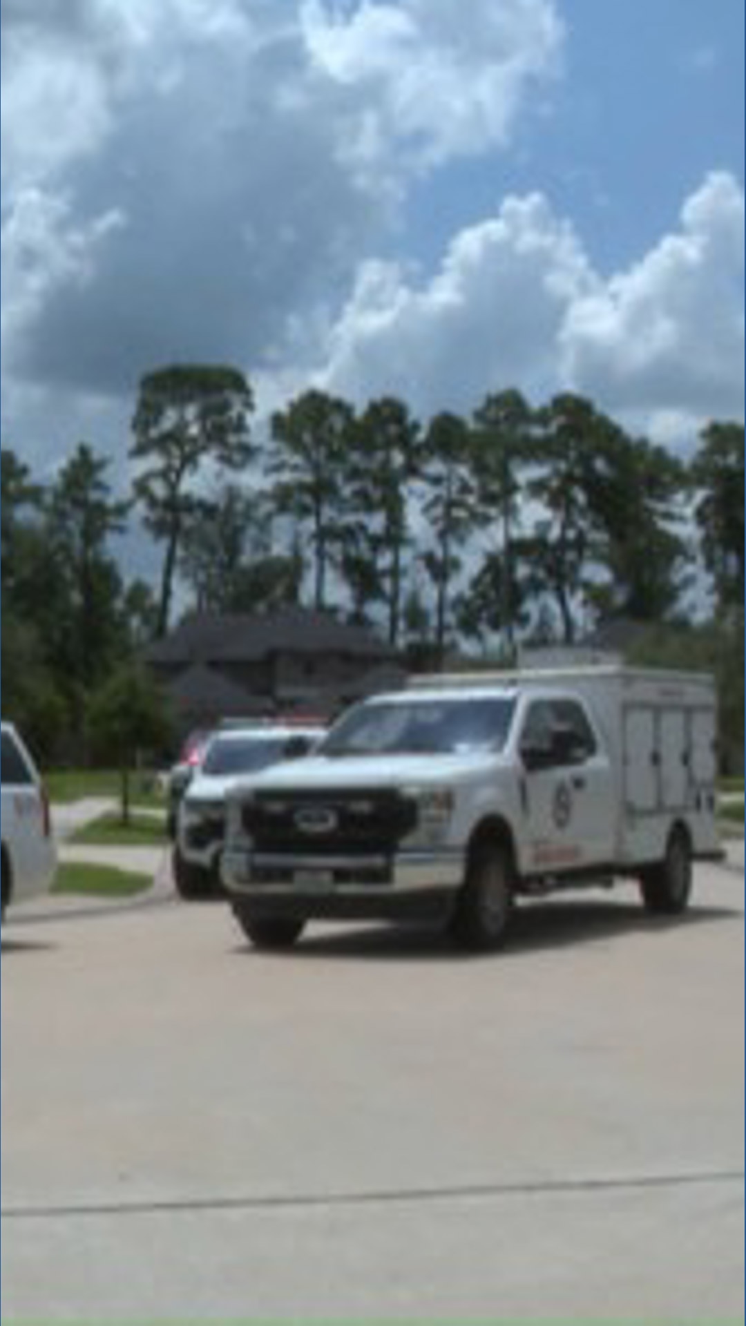 Spring neighbors want answers after dogs enter home, kill family pet ...