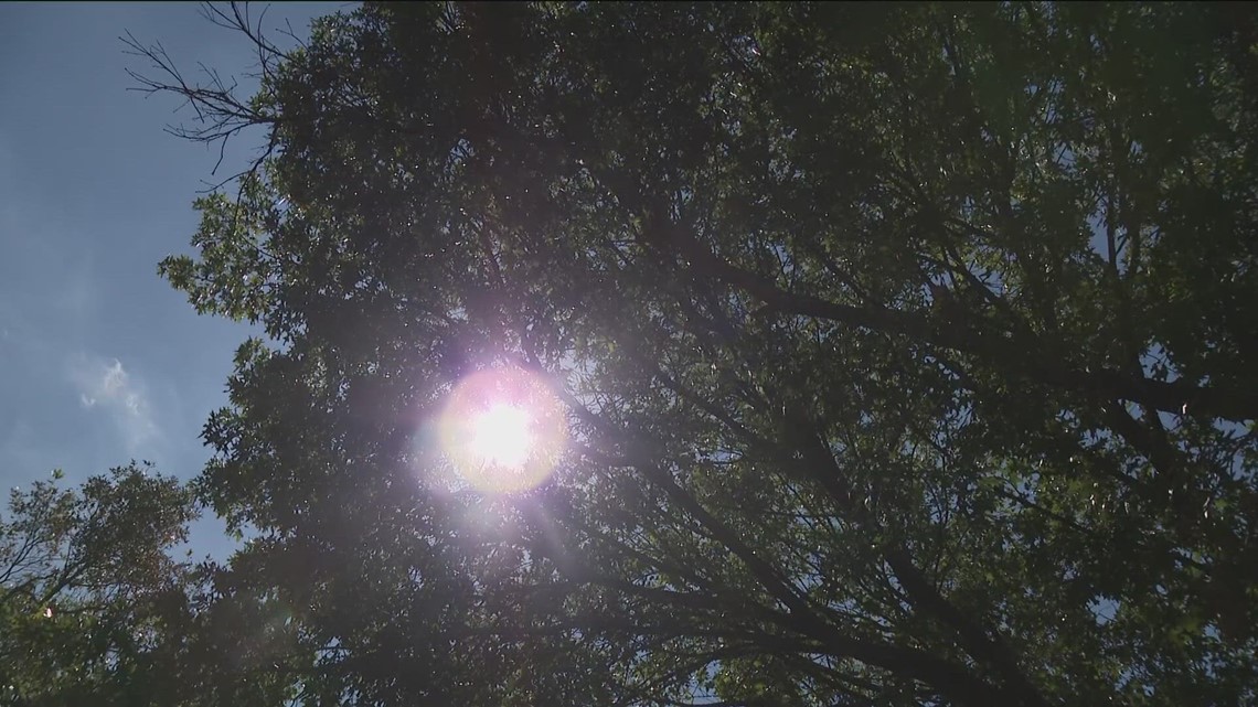 Austin trees stressed from extreme weather | kvue.com