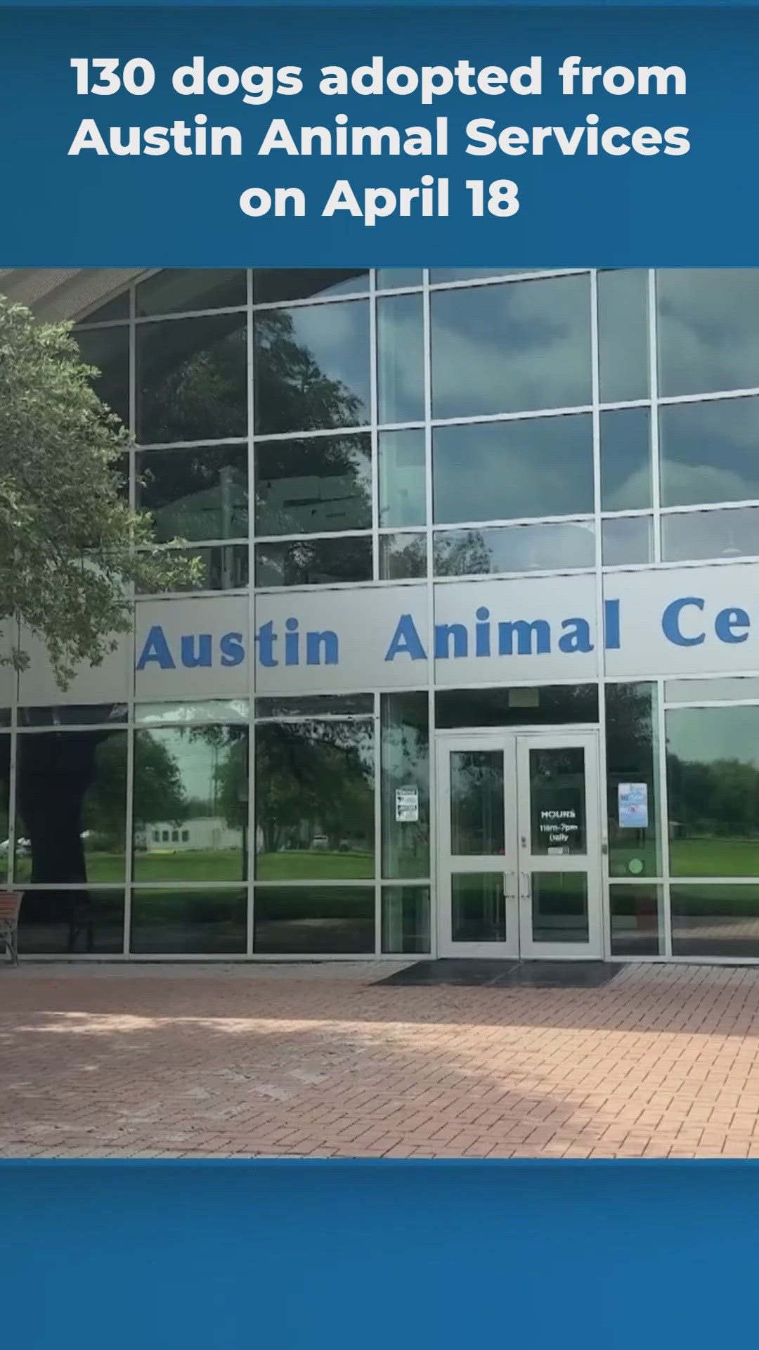 More than 100 dogs adopted from Austin Animal Services amid ...