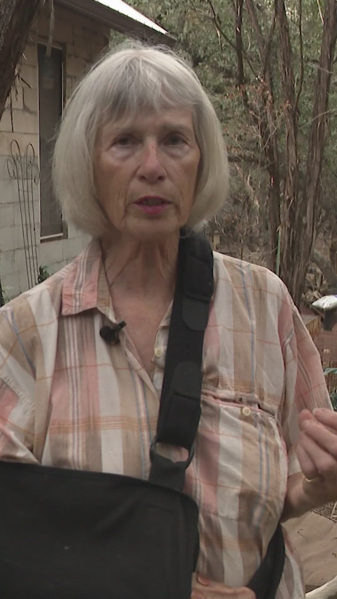 Texas woman attacked by rabid fox amid Hays County rabies outbreak ...
