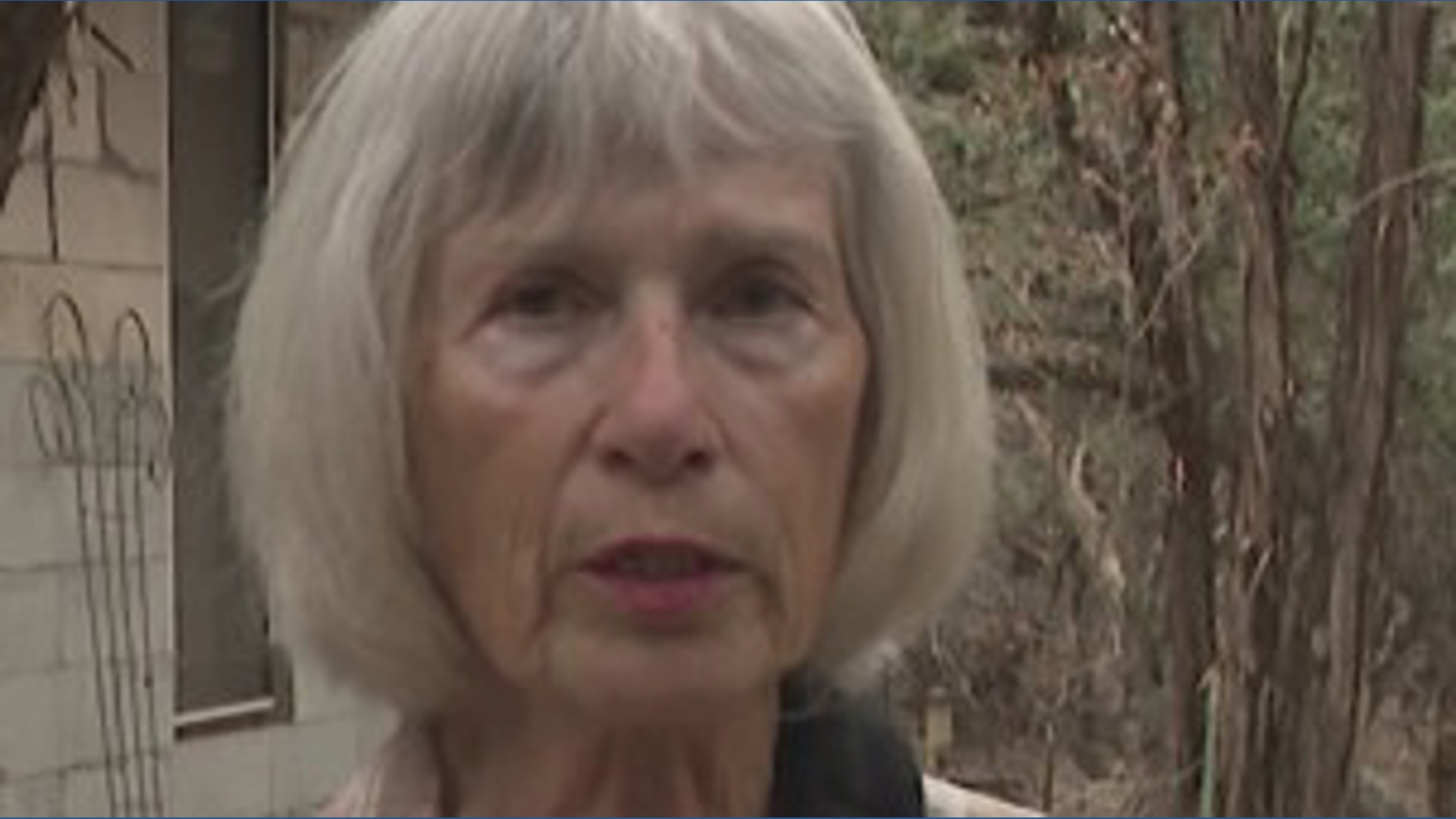 Texas woman attacked by rabid fox amid Hays County rabies outbreak ...