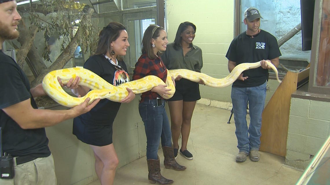 Animal World and Snake Farm Zoo in New Braunfels experience 