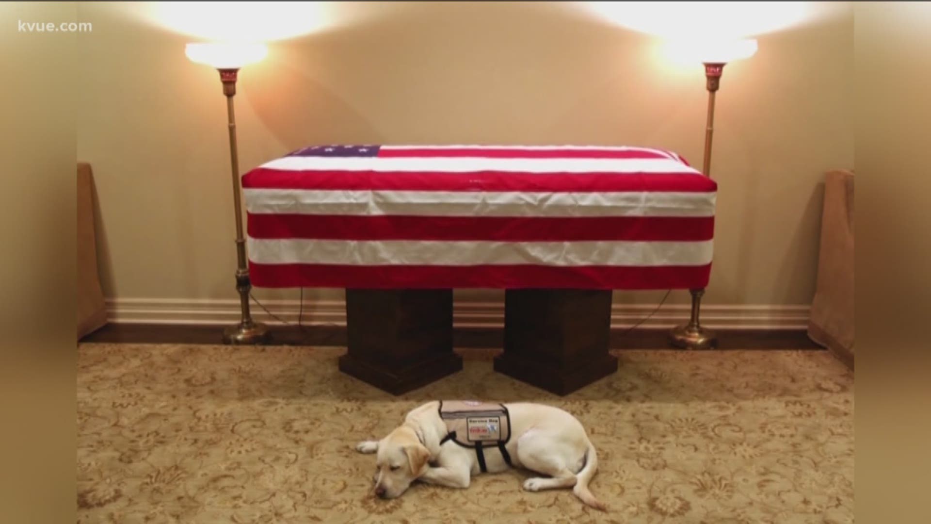 Service dogs, like George H.W. Bush's Sully, can leave a life-long impact on the people they help.