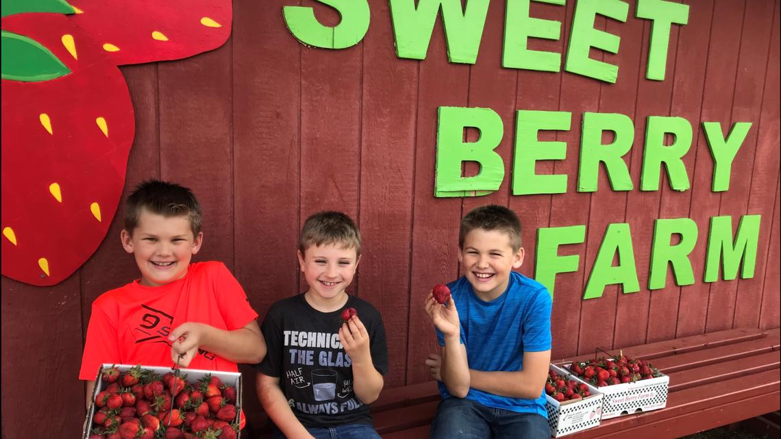 Sweet Berry Farm Marble Falls still open