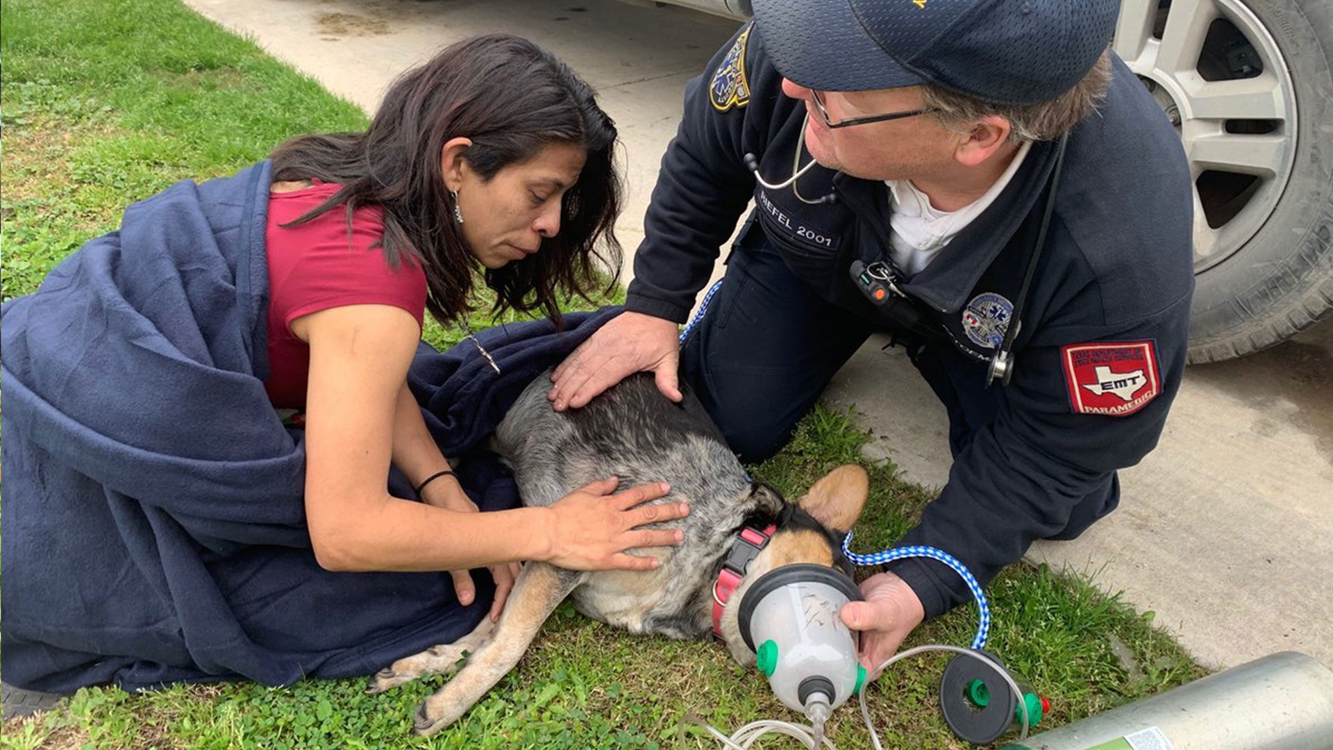 Austin medics revive dog trapped in fire using pet oxygen mask | kvue.com