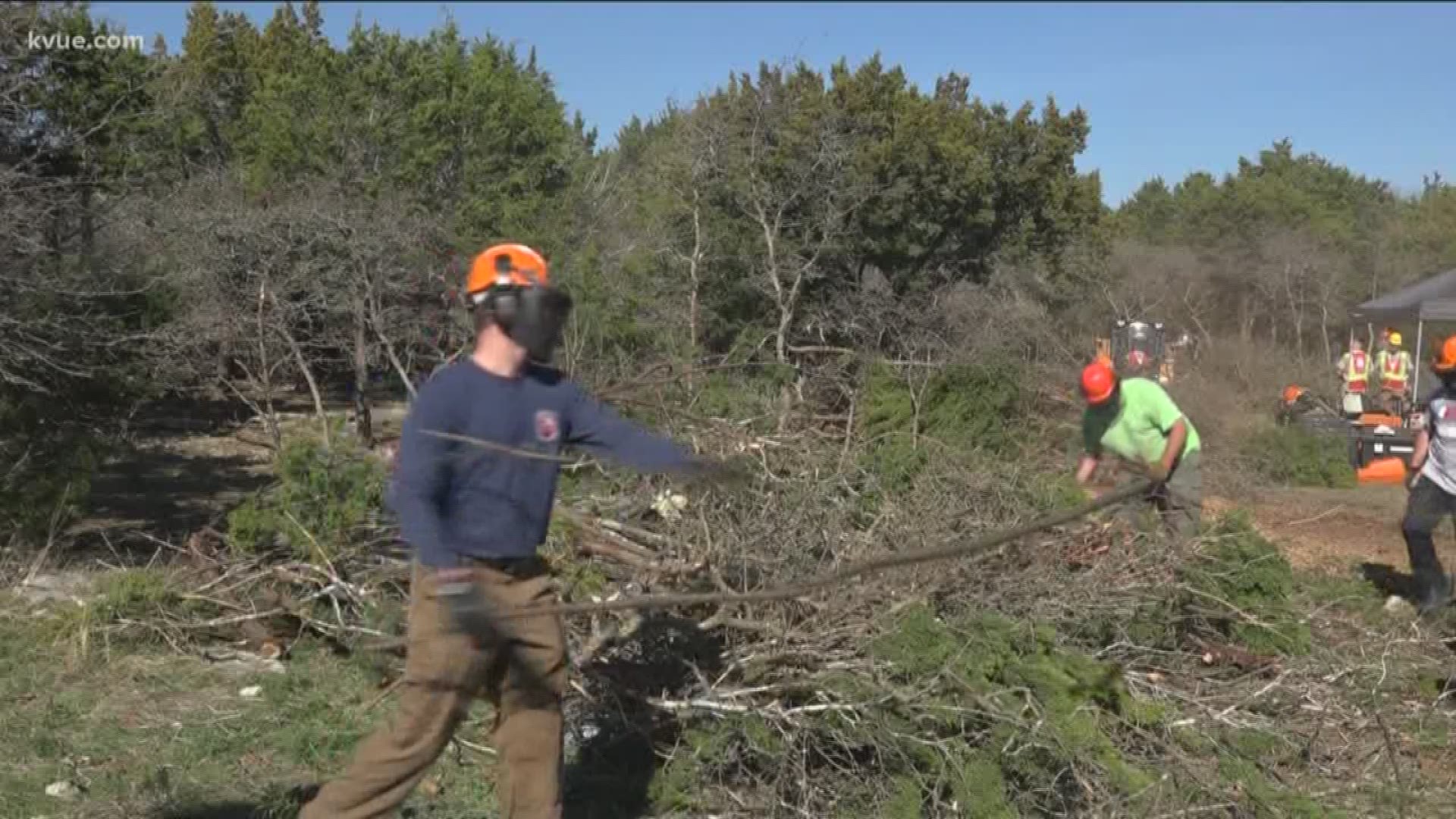 Williamson County is getting pro-active clearing out dead trees and brush around homes this weekend to try and prevent wildfires.