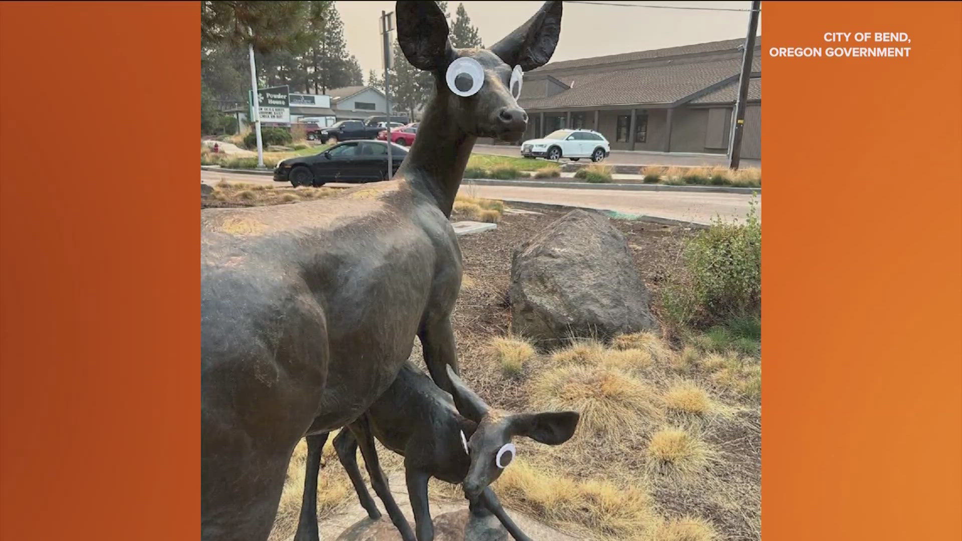 The city of Bend, Oregon, said it has spent over $1,500 removing the plastic eyes. 