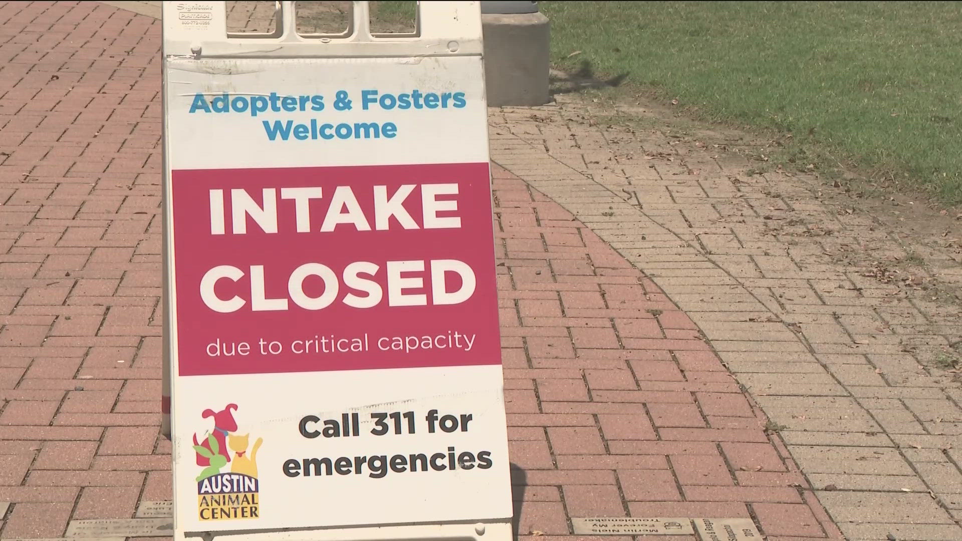The pets at the Austin Animal Center still need a lot of help as the facility continues to be at overcapacity.