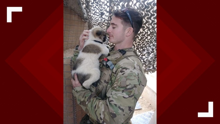 Army staff sergeant reunites with puppy he found while on duty in Iraq ...