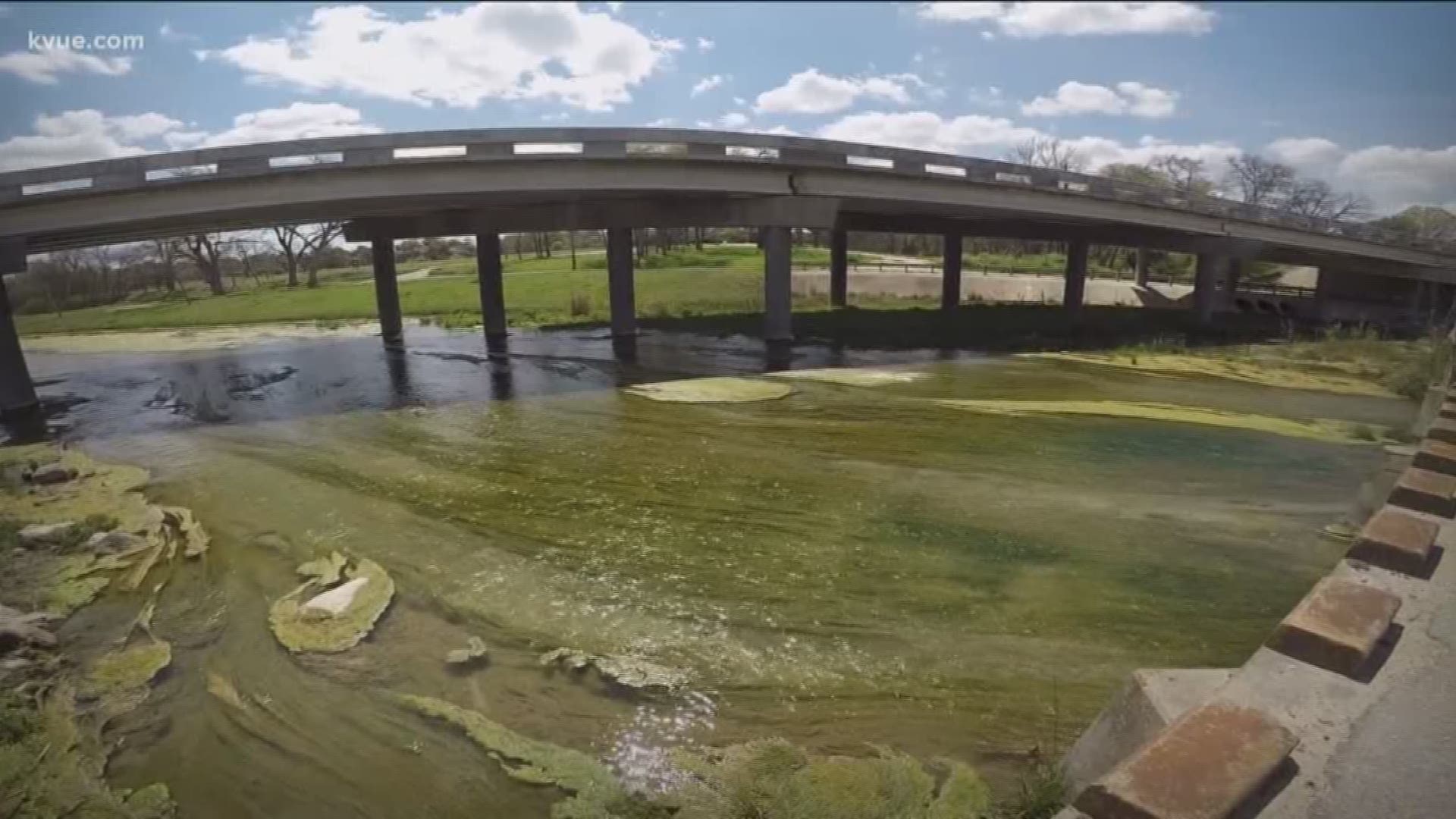 Homeowners near the Blanco River said there's an algae problem that's damaging the quality of the river.