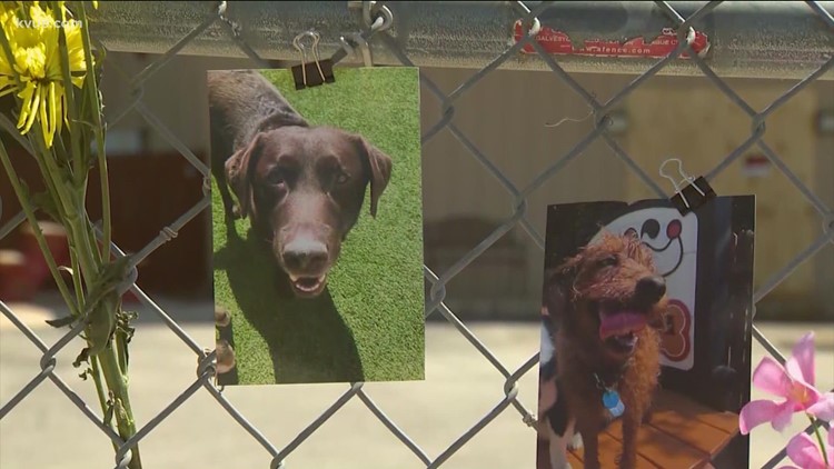 Round Rock could consider ordinance requiring sprinklers at pet boarding facilities