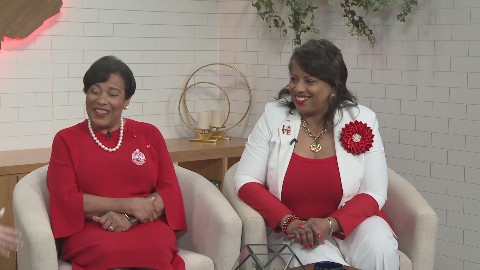 delta-sigma-theta-hosting-series-of-community-service-events-in-austin
