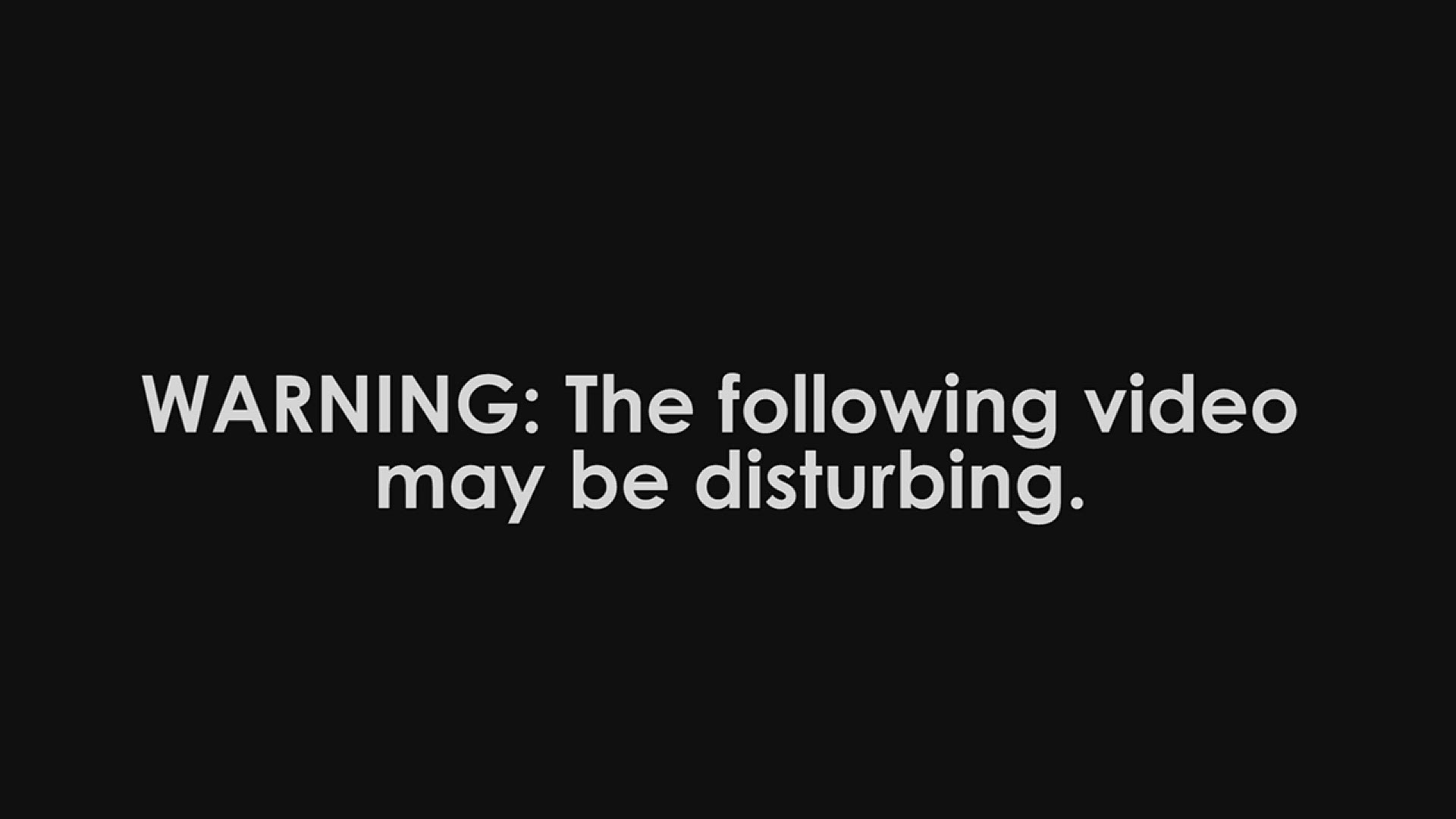 Three people have been charged with child endangerment in connection to a video that shows two children fighting each other.