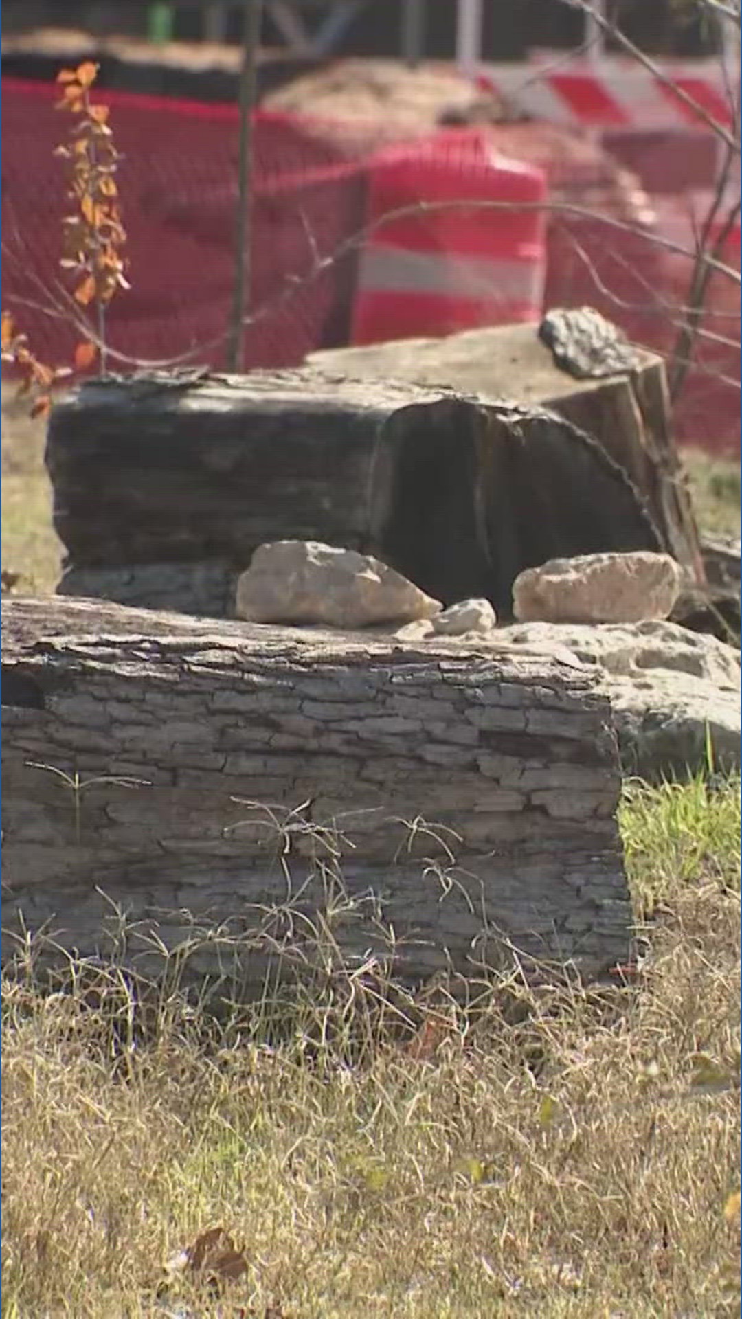 Austin food forest warns I - 35 expansion project could disrupt green oasis