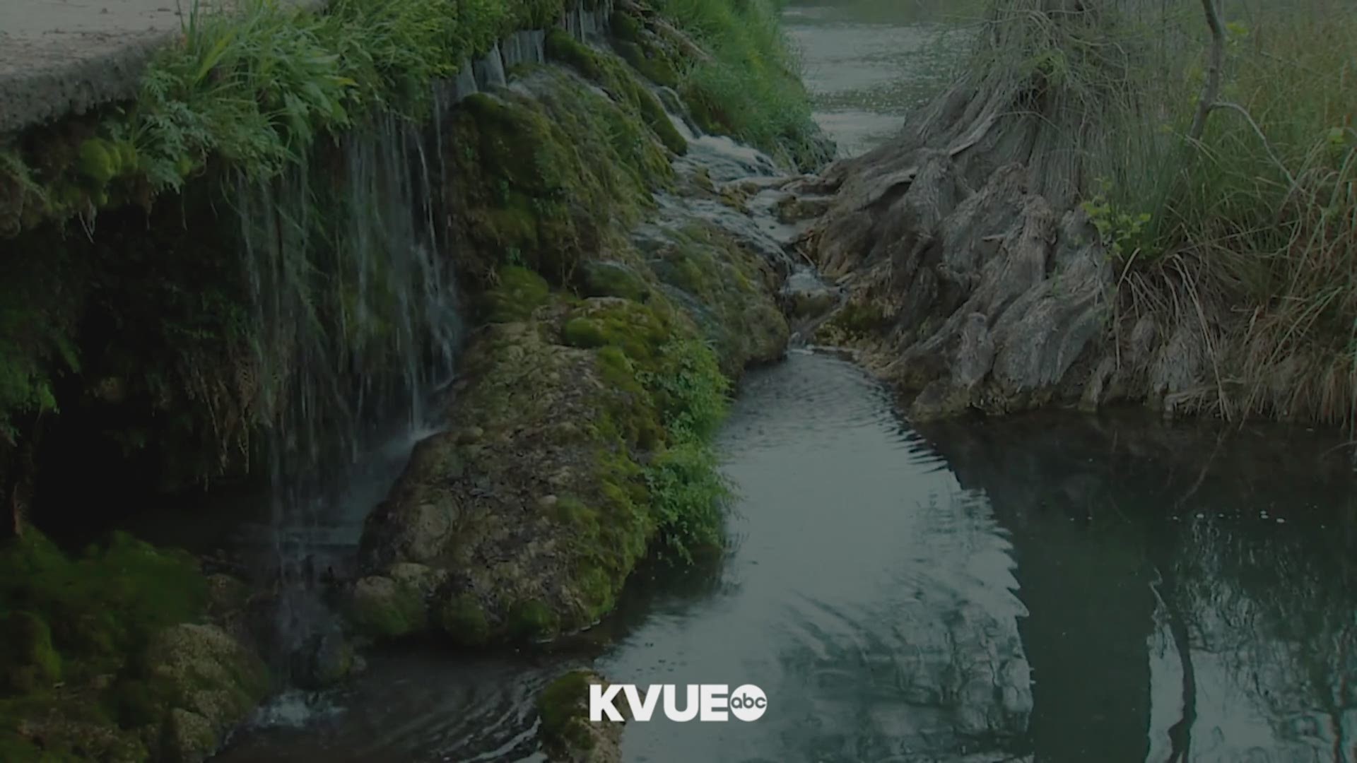 Take a moment to listen to the soothing sounds of waterfalls and see the beautiful creek.