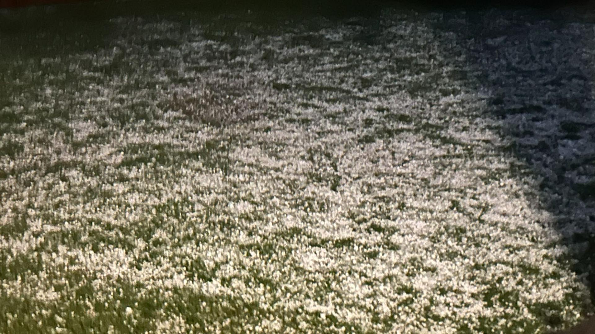 Storms leave hail blanketing the ground like snow across Central Texas ...