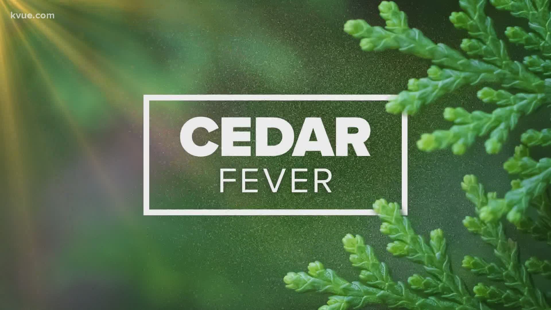 There is a lot of cedar in the air in Austin. Here's the difference between the symptoms of allergies, the flu and the coronavirus.