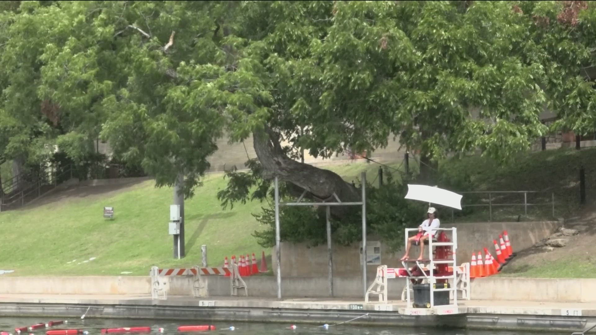 The Barton Springs