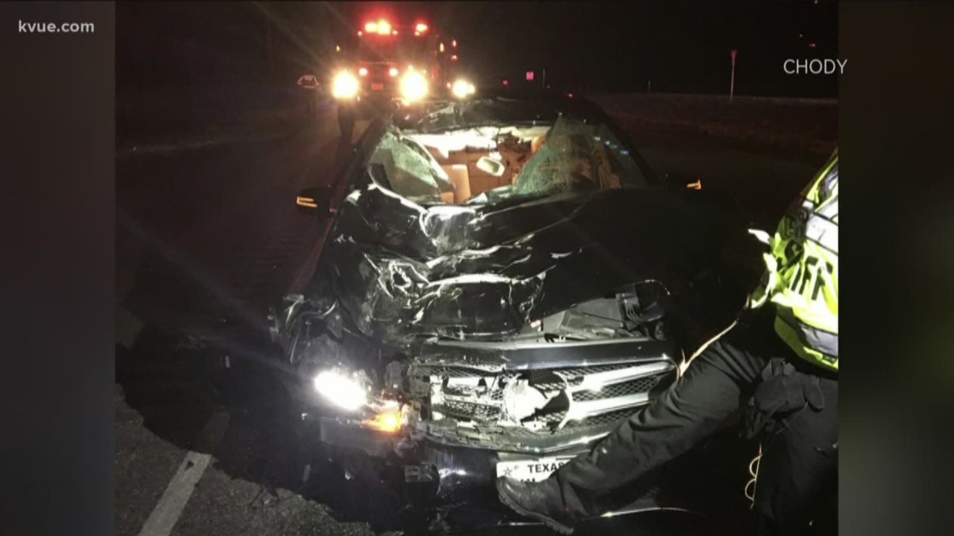 Williamson County Sheriff Robert Chody said this was an example of how dangerous loose livestock can be for drivers on the roads.