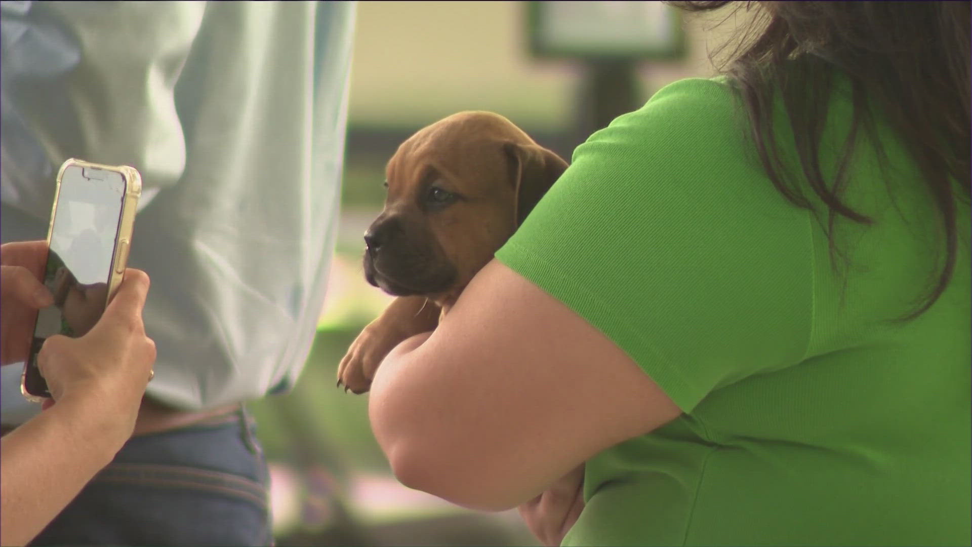 The partnership between the team and the shelter brings attention to adoptable puppies by having one be an honorary mascot at every home match.