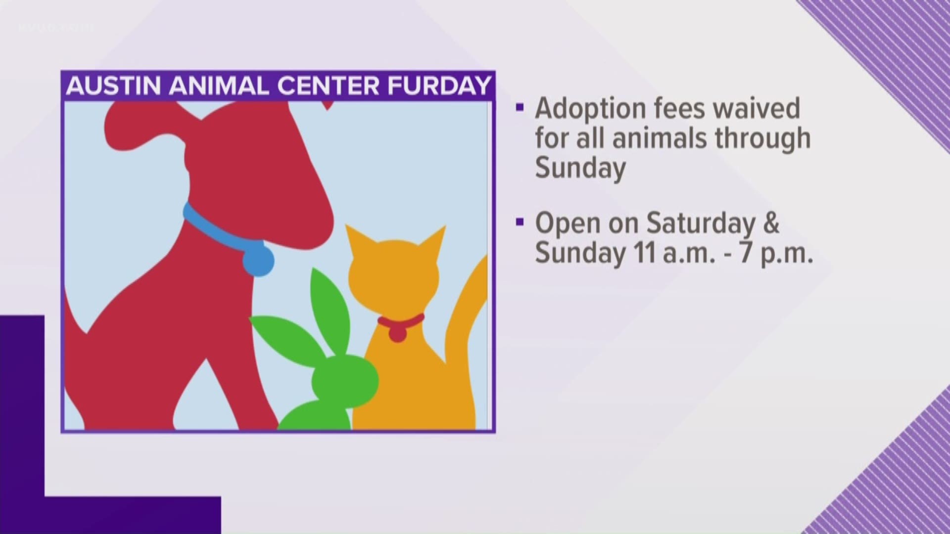 The Austin Animal Center is waving adoption fees through the weekend for its Black FURiday adoption event.