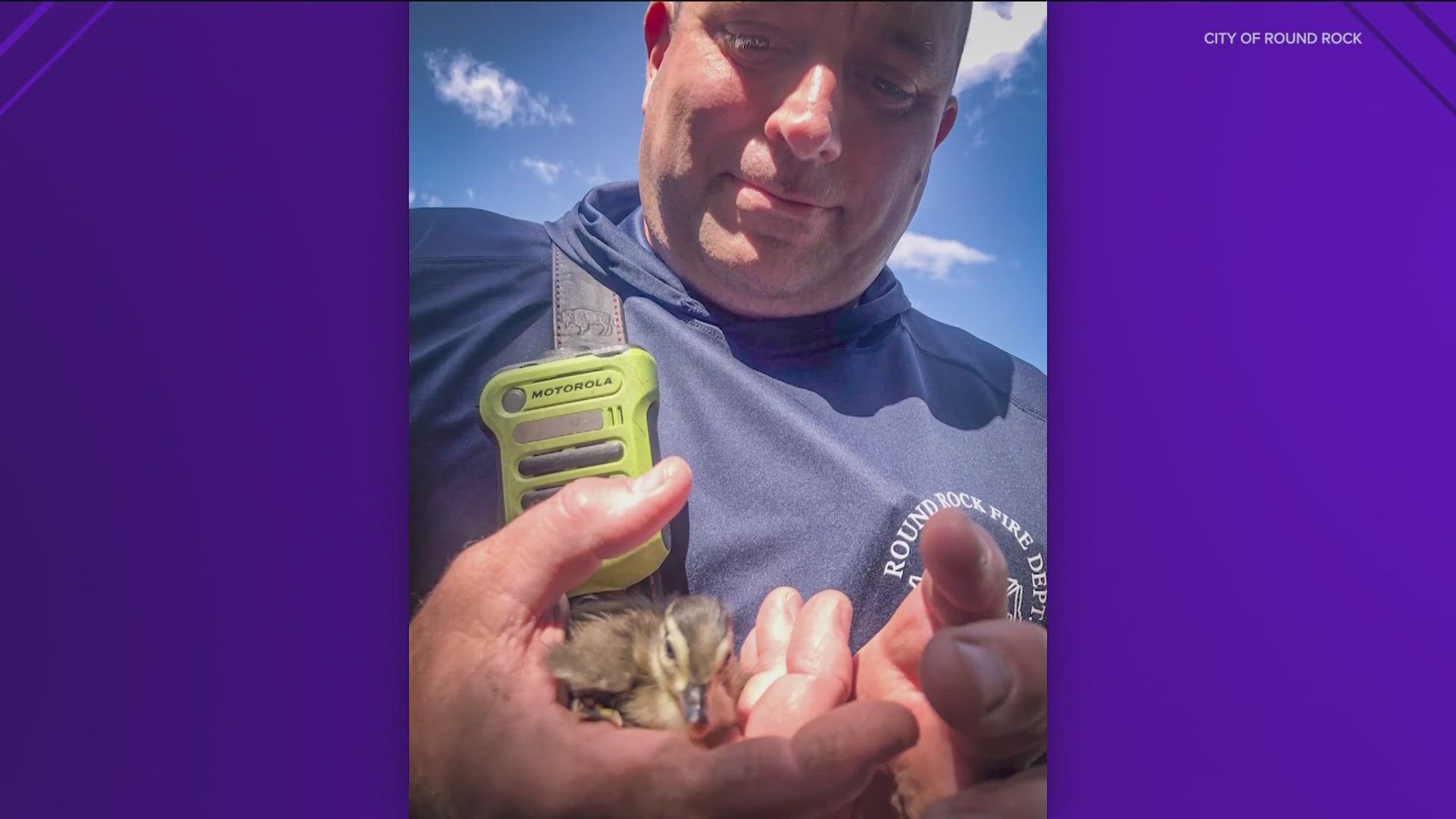 Round Rock firefighters rescued 11 ducklings who were washed into a storm drain due to recent rainfall.