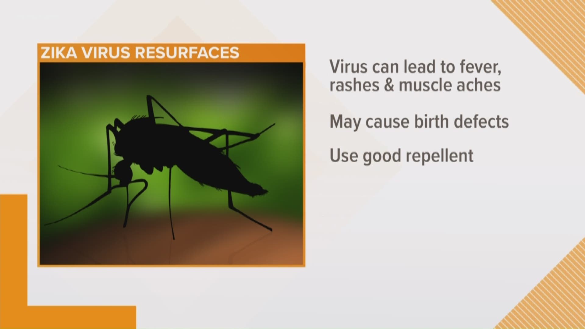 Protecting yourself against the zika virus in Texas