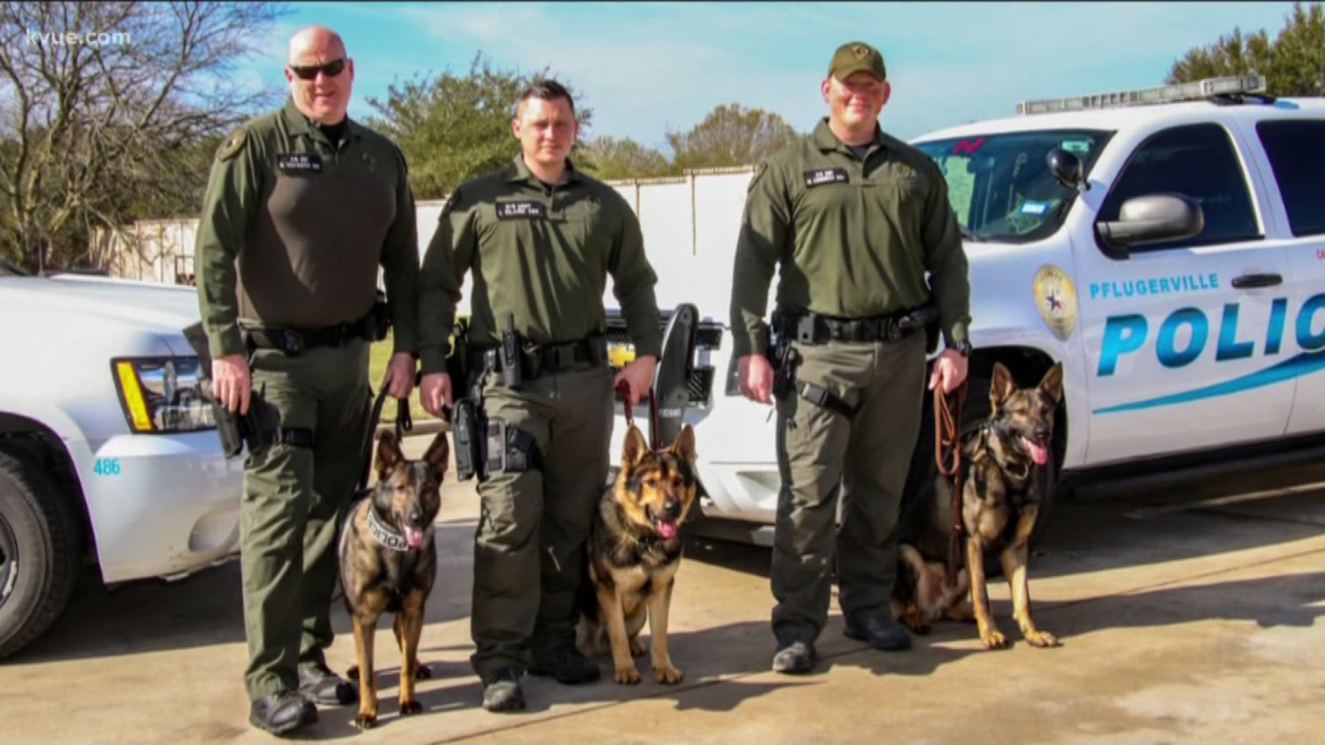Pflugerville Police Department's K9 units Isa, Lubo, and Tymo are set to get a donation of body armor.