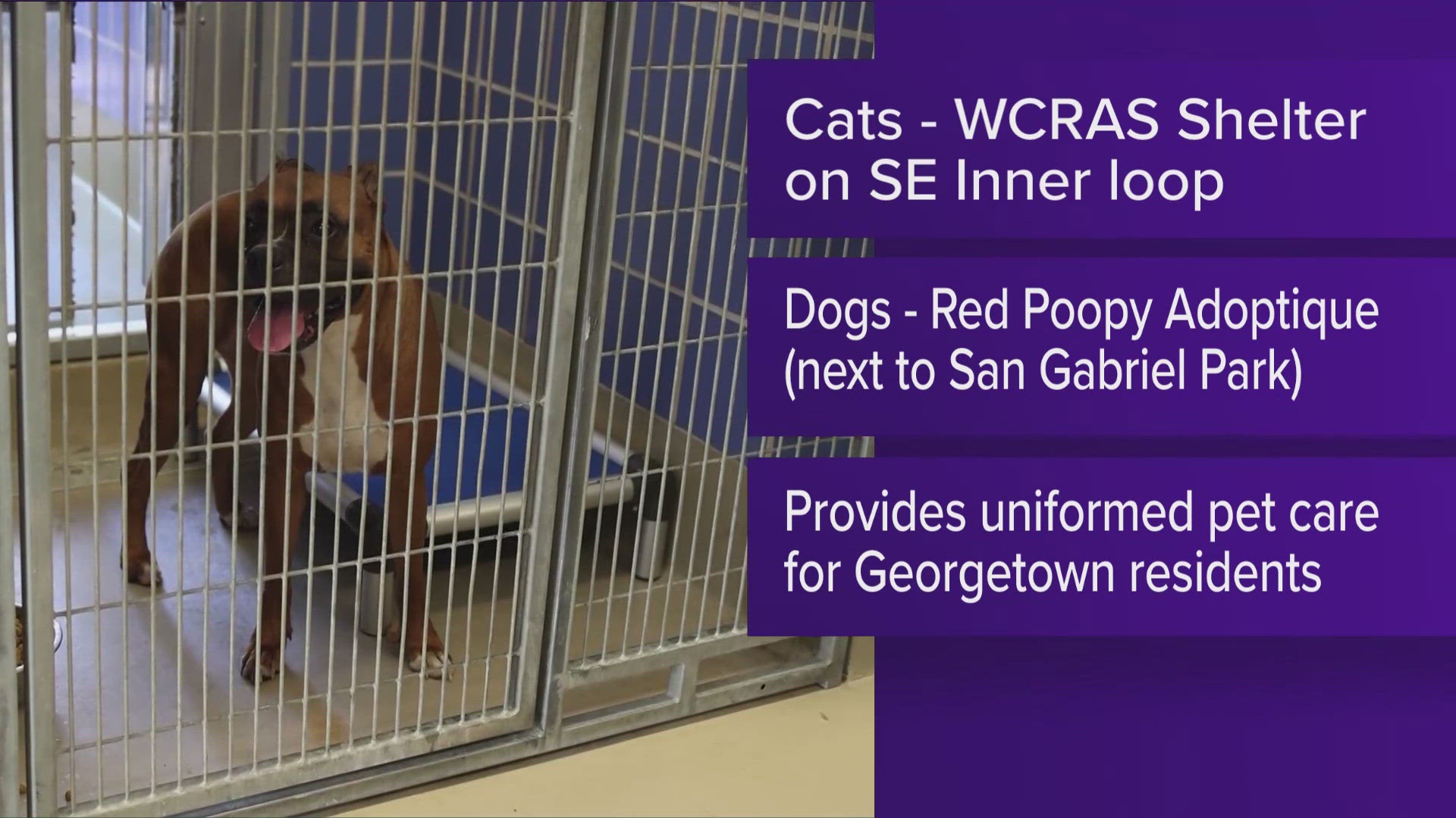 On July 14, the current campus of the Williamson County Regional Animal Shelter will begin serving as the centralized location for shelter services.