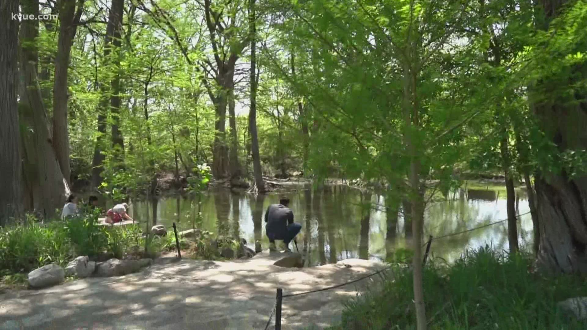 KVUE's Hunter Williams shows us Blue Hole Regional Park as part of our Great Outdoors series.