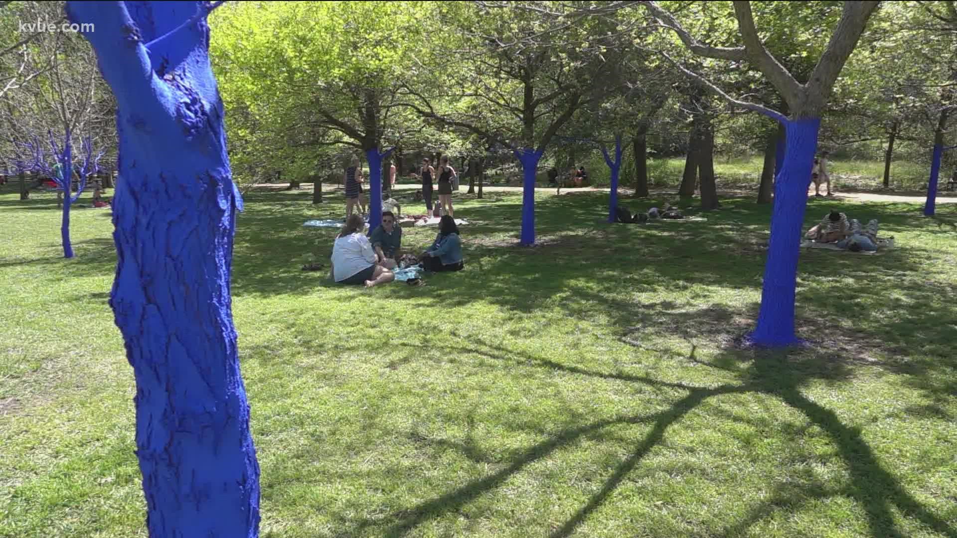 'The Blue Trees' now at Pease Park in Austin