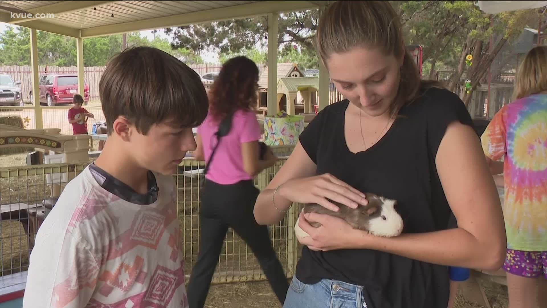 If 14-year-old Cole can overcome his fear of holding crazy critters, he can definitely handle finding a family!