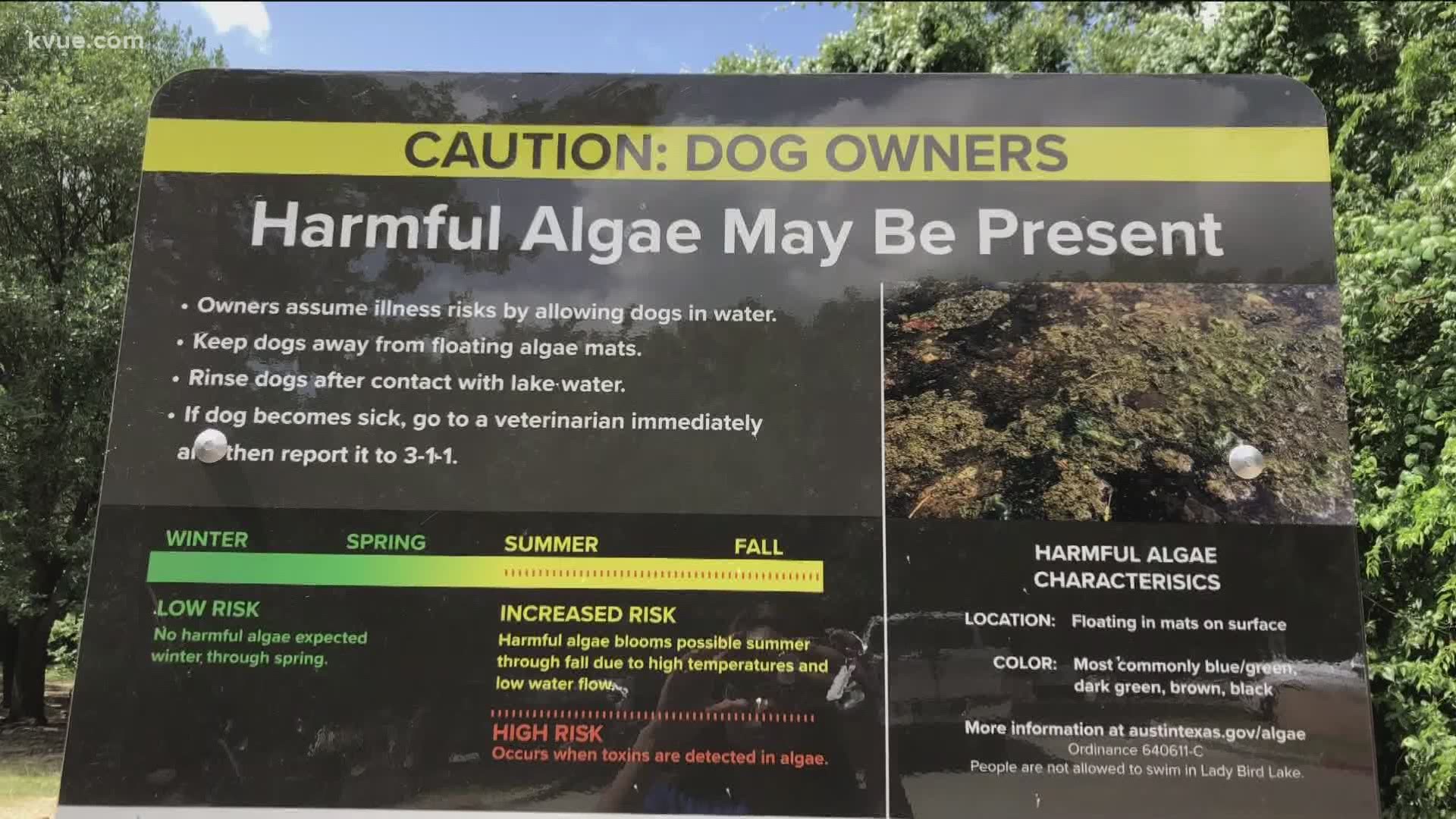 The Watershed Protection Department is expected to relaunch its algae monitoring dashboard next week.